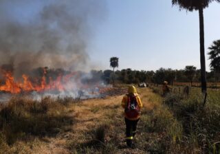 Incendios forestales: normativa aplicable, situación actual y el rol de la Administración de Parques Nacionales